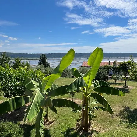 Apartmaji Modri Horizont Seca - Blue Horizon Seca *