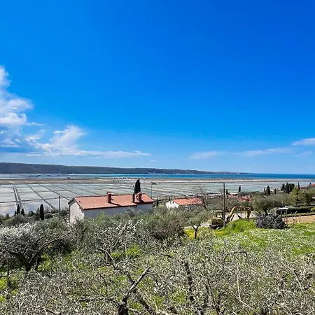 Lägenhet Apartmaji Modri Horizont Seca - Blue Horizon Seca