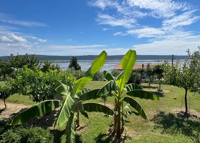 Apartmaji Modri Horizont Seca - Blue Horizon Seca *