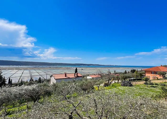 Lejlighed Apartmaji Modri Horizont Seca - Blue Horizon Seca